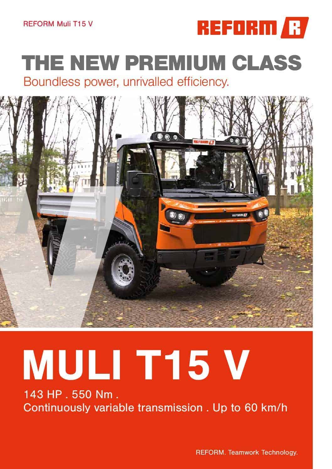 Camion multifunctional Muli REFORM (1) Camion multifunctional Muli REFORM